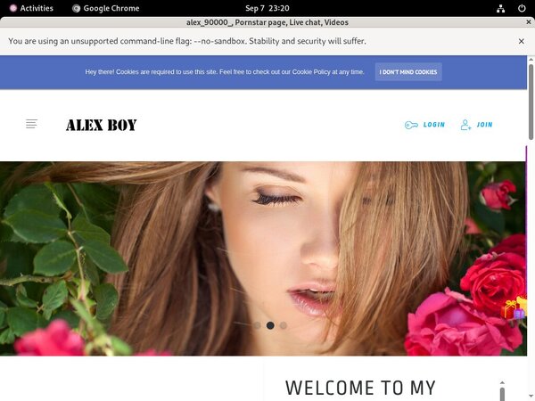 Alex90000.modelcentro.com Full Account