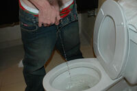 Boys Pissing Updated Passwords s5