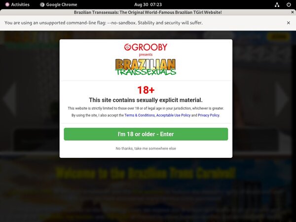 Brazilian Transsexuals Discount 70% Off