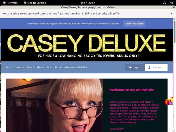 CaseyDeluxe Login Ids