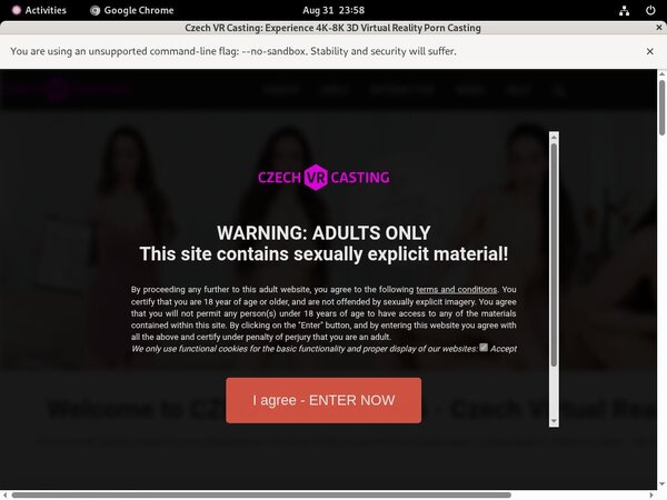 Czech VR Casting Pricing