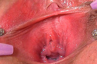 Discount Gapemypussy.com Trial Membership s1 Discount Gapemypussy.com Trial Membership s1
