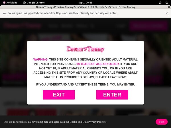 Dreamtranny.com Xxx Passwords