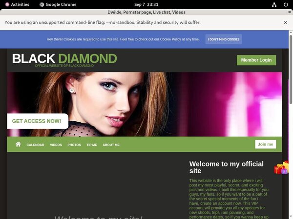 Dwilde Site Passwords