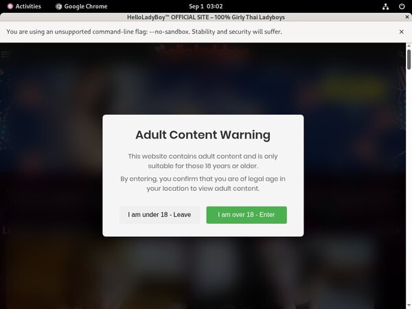 Fotos Helloladyboy.com