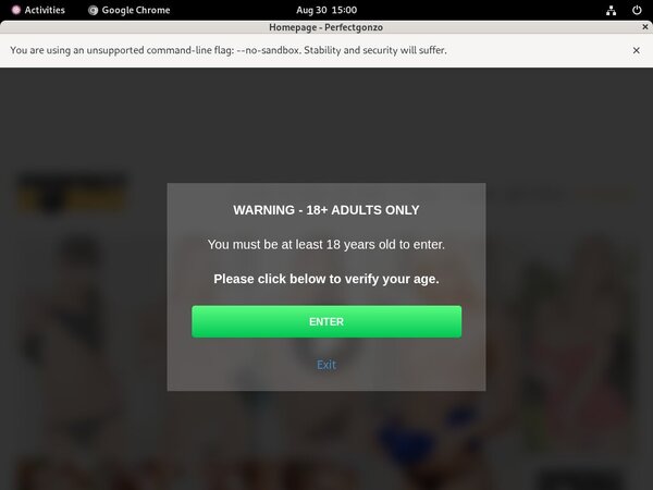 Free Com Perfectgonzo Account