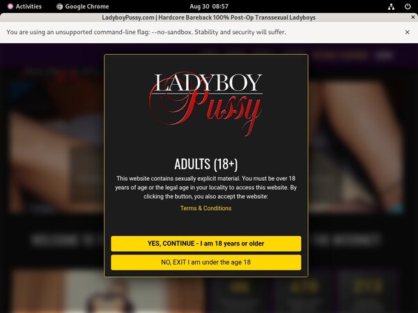 Free Pass For Ladyboy Pussy