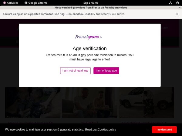 Frenchporn Free Movies