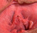 Gape My Pussy Login Account