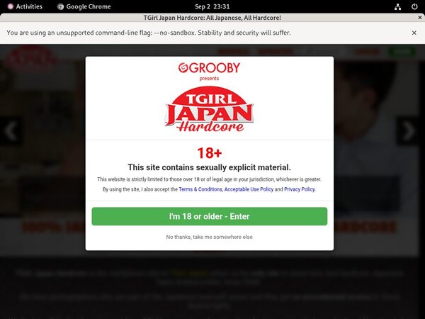 Get Inside TGirl Japan Hardcore