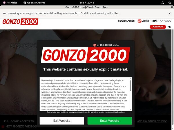 Gonzo2000.com Accounts