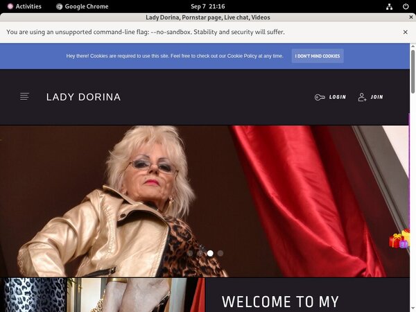 How To Get Lady-dorina.com For Free