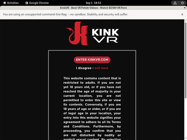 Kink VR Free Login