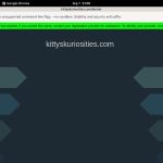 Kittyskuriosities.com With IBAN / BIC
