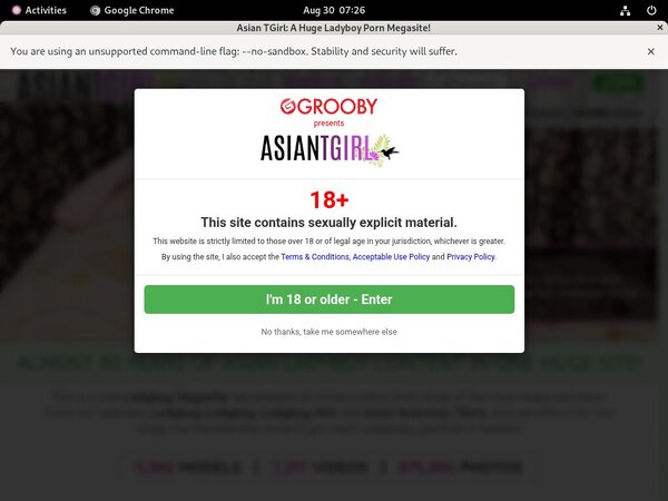Ladyboy-ladyboy.com Account Premium
