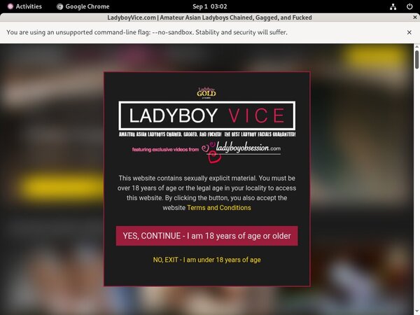Ladyboyvice.com Home Page Ladyboyvice.com Home Page