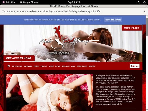 LittleRedBunny Promos