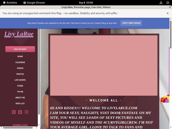 LivyLaRue Telephone Billing LivyLaRue Telephone Billing