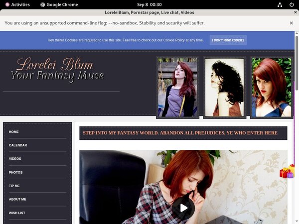 LoreleiBlum Passwords Accounts