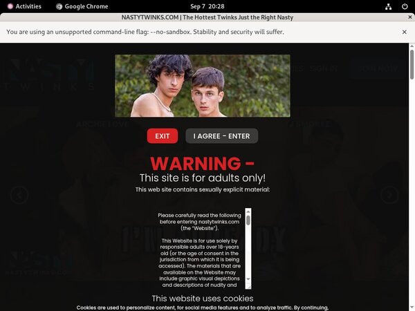 Nasty Twinks Free Galleries