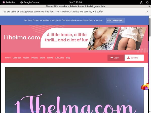 Pass 1thelma.com