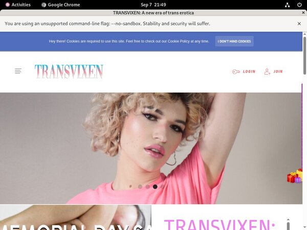 Passwords Transvixen.com