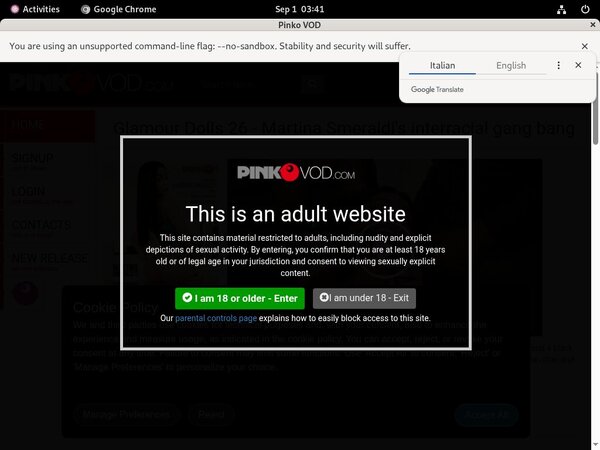 Pinkovod.com Nude Pictures