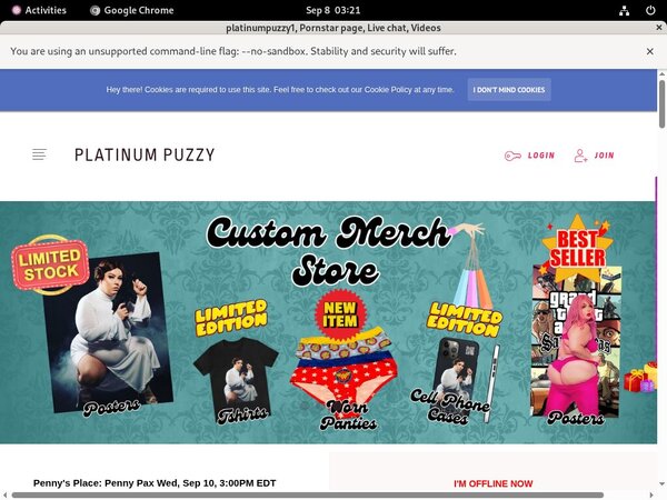 Platinumpuzzy Discount Review