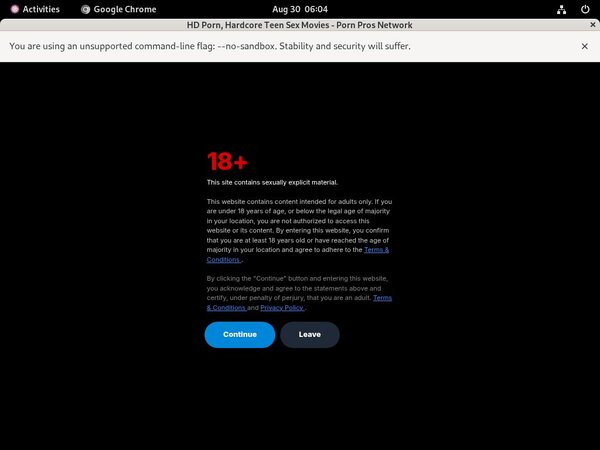 Porn Pros Network Vendo
