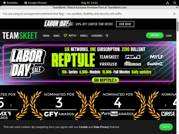 Pornhub Teamskeet.com