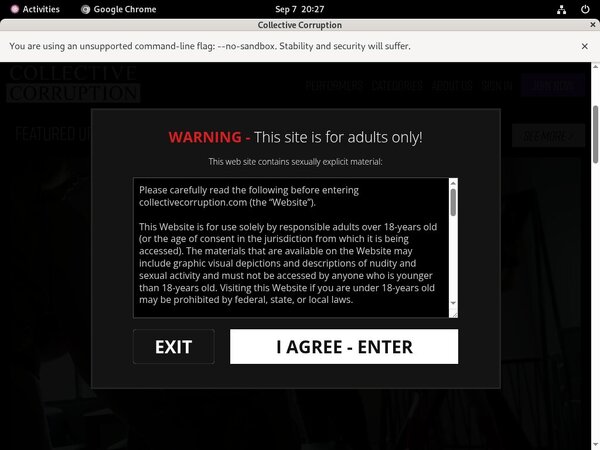 Premium Collectivecorruption.com