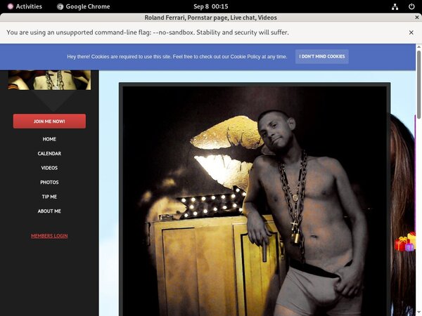 Rolandferrari Gay Sex