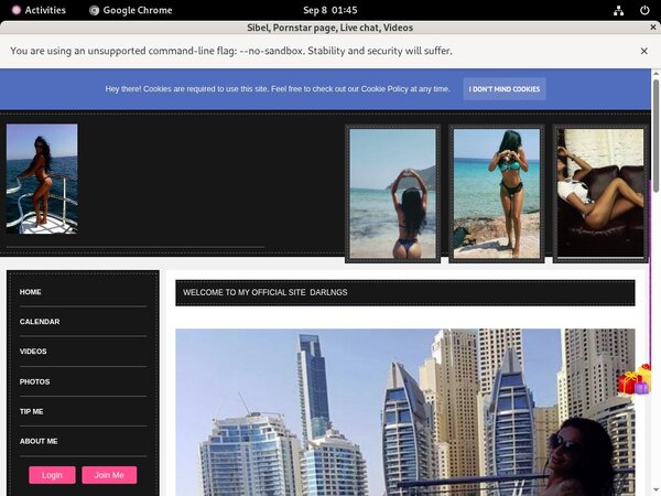 Sibel Free Trial Acc