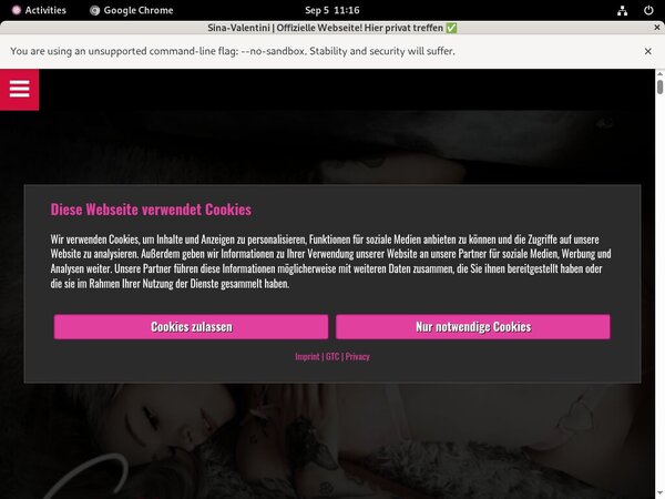 Sina Valentini Discount Username