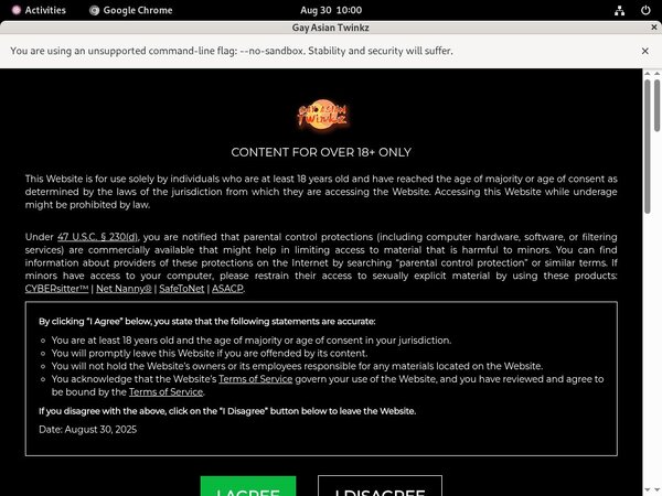 Site Rip Gayasiantwinkz