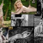 Subspace Land Free Trial Special Subspace Land Free Trial Special