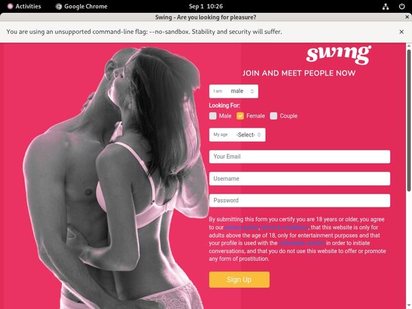 Swing.net Videos For Free