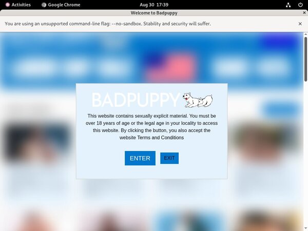 Trial Account Badpuppy.com