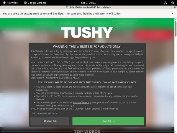 Tushy Porn Account