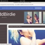 Twitter BaddBirdie