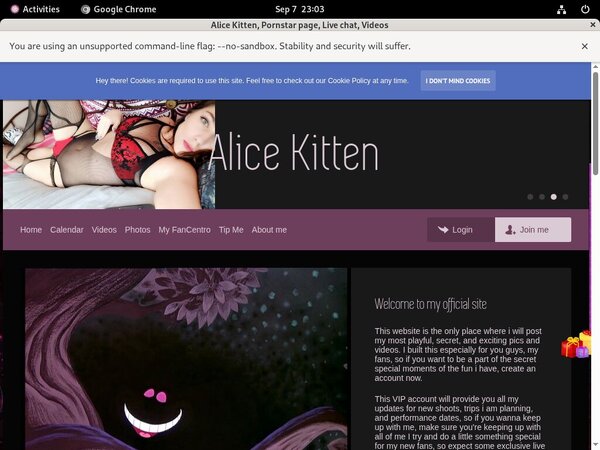 User Pass Alicekitten.modelcentro.com