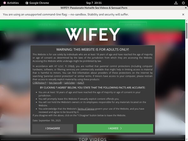 Wifey Users
