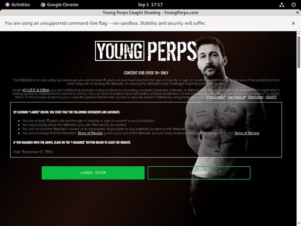 Young Perps Promo Id