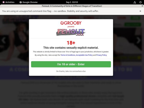 Free Femout XXX Premium Passwords