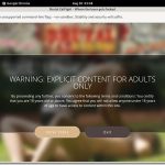 Brutalcatfight Reduced Price Brutalcatfight Reduced Price