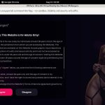 VR Bangers Update